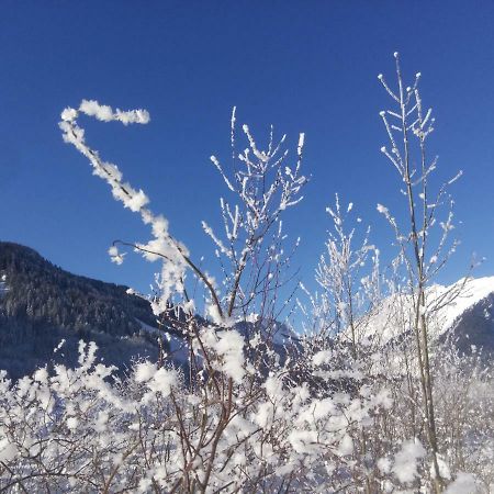 Gaestehaus Pfandl Au (Vorarlberg) المظهر الخارجي الصورة