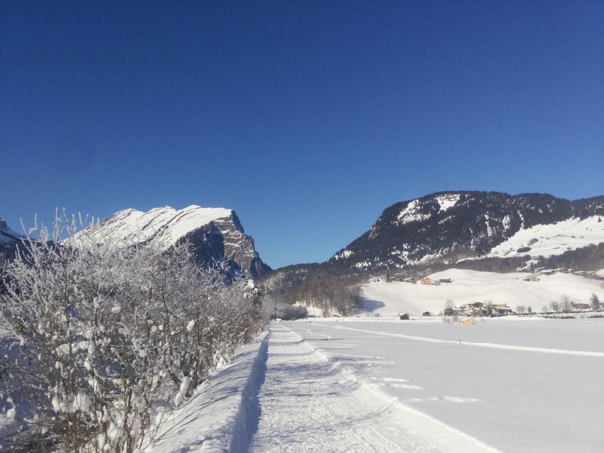 Gaestehaus Pfandl Au (Vorarlberg) المظهر الخارجي الصورة