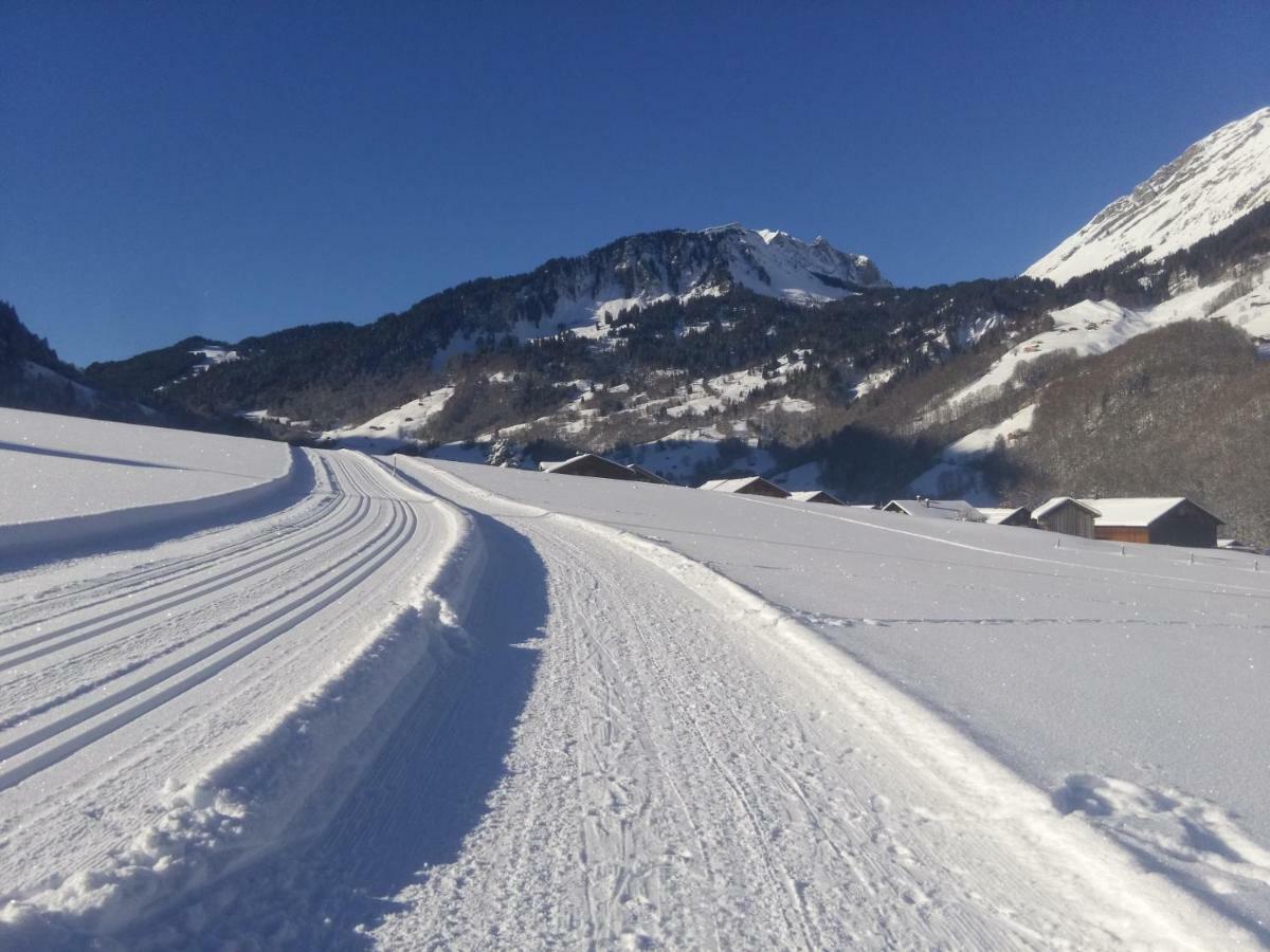 Gaestehaus Pfandl Au (Vorarlberg) المظهر الخارجي الصورة